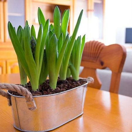 Apartamento Los Narcisos Chulilla Zewnętrze zdjęcie