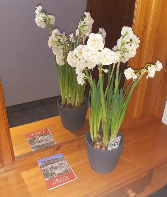 Apartamento Los Narcisos Chulilla Zewnętrze zdjęcie